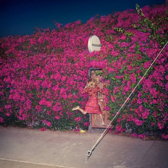 Album 4