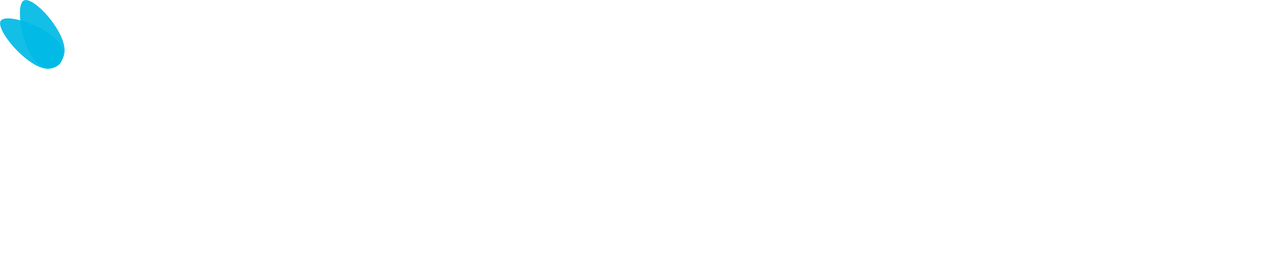 Curiousfly Logo
