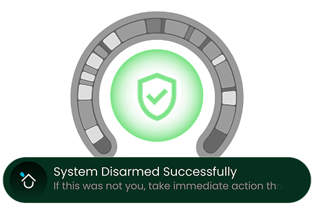 Disarm System Graphic
